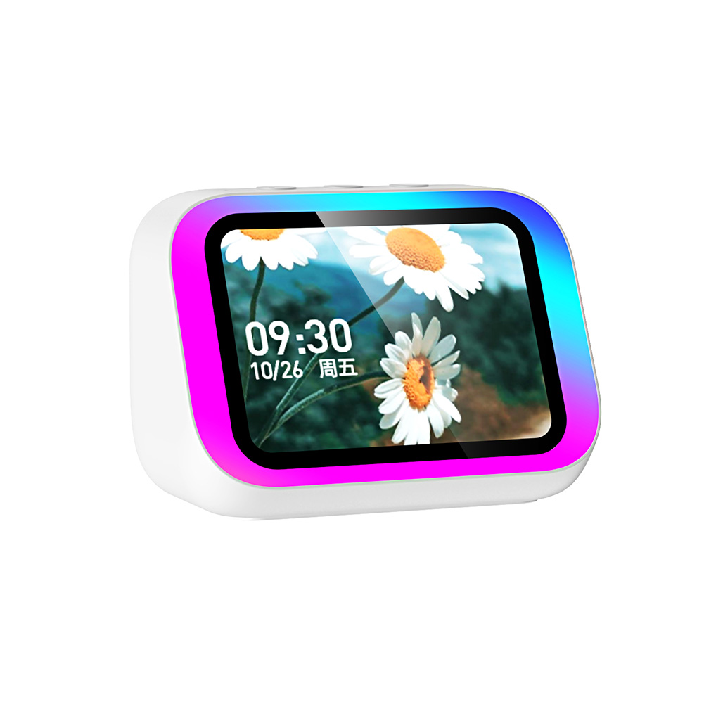 Slimme speaker met spraakassis - Smart Home Speaker recensie en prijs