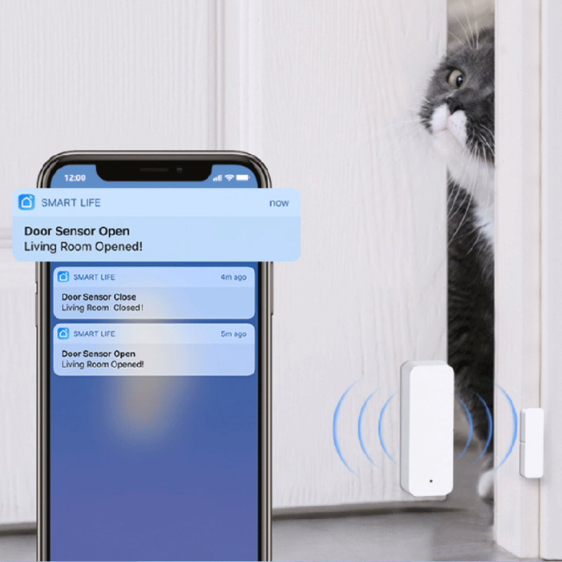 Tuya WiFi Zigbee Deur- en raam - Smart Home Zigbee recensie en prijs