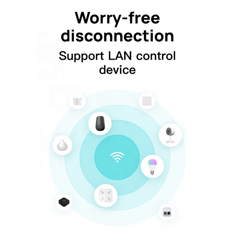10,1-inch Tuya Smart Home bedi - Smart Home Touchscreen Control Panel recensie en prijs