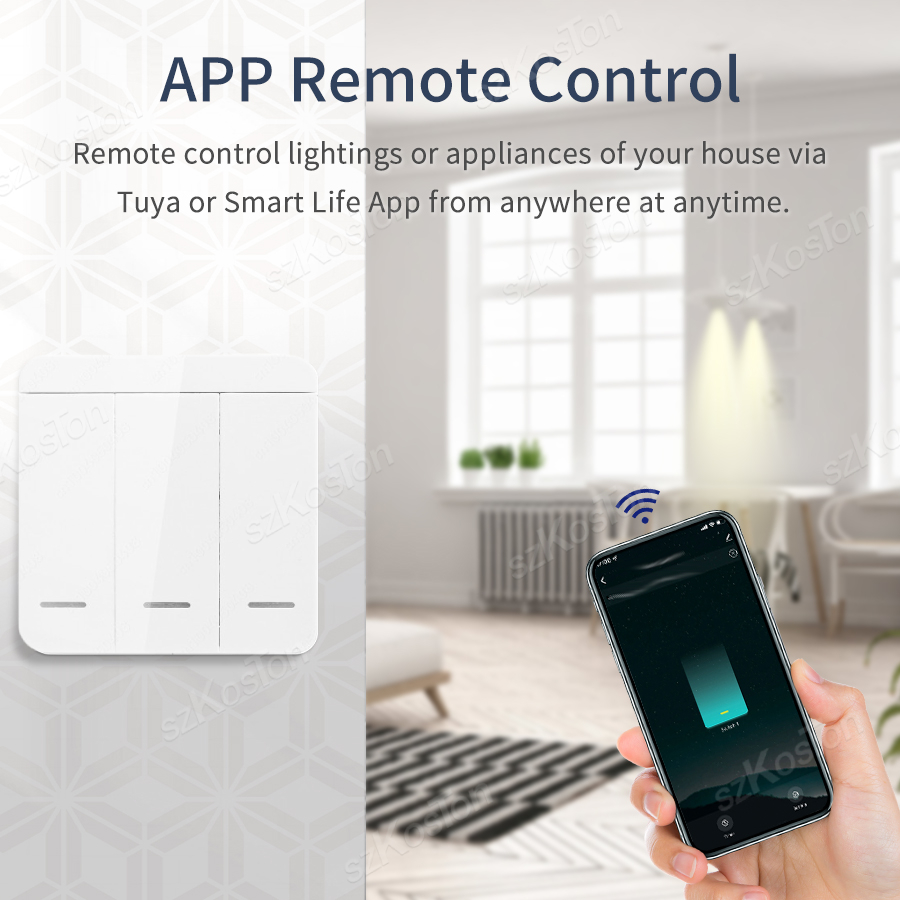 RF433 WiFi Smart Switch 2in1 D - Smart Home Simple recensie en prijs